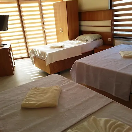 Hotel Torun