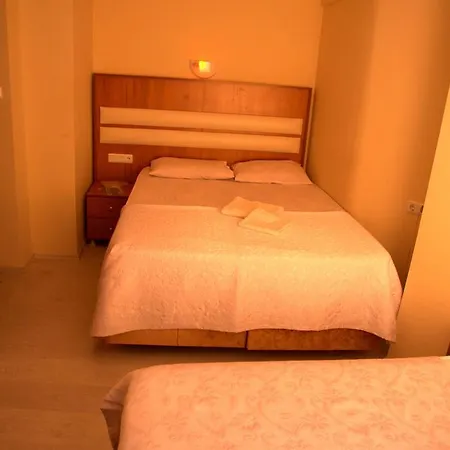 Torun Hotel 3*