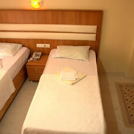 Hotel Torun 3*