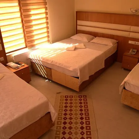 Hotel Torun
